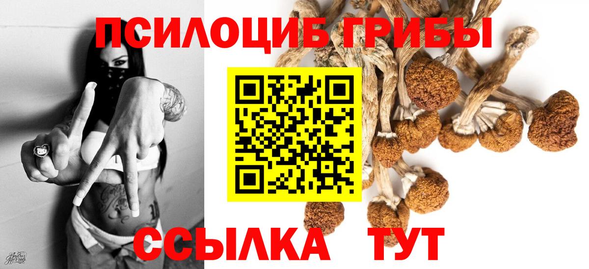 Солнечногорск  Псилоцибиновые грибы Psilocybe  Вход с VPN  Псилоцибиновые грибы GOLDEN TEACHER 